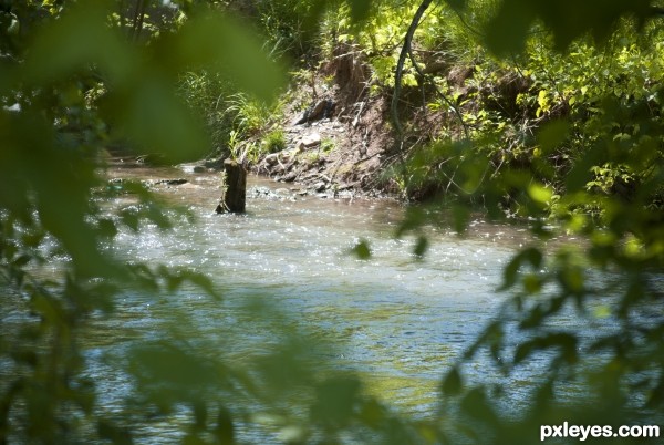 Mountain Stream